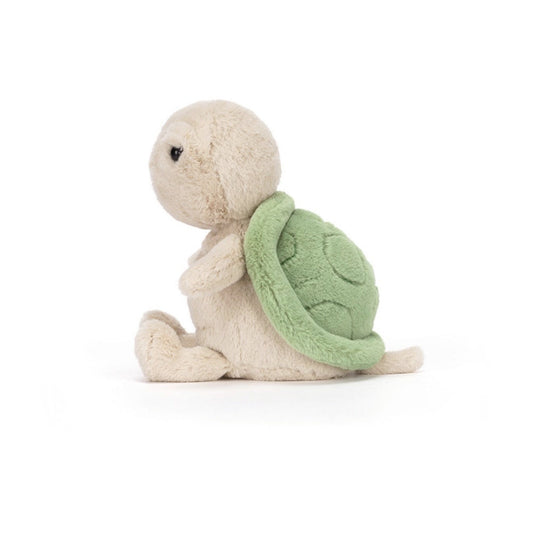 Thimble Turtle