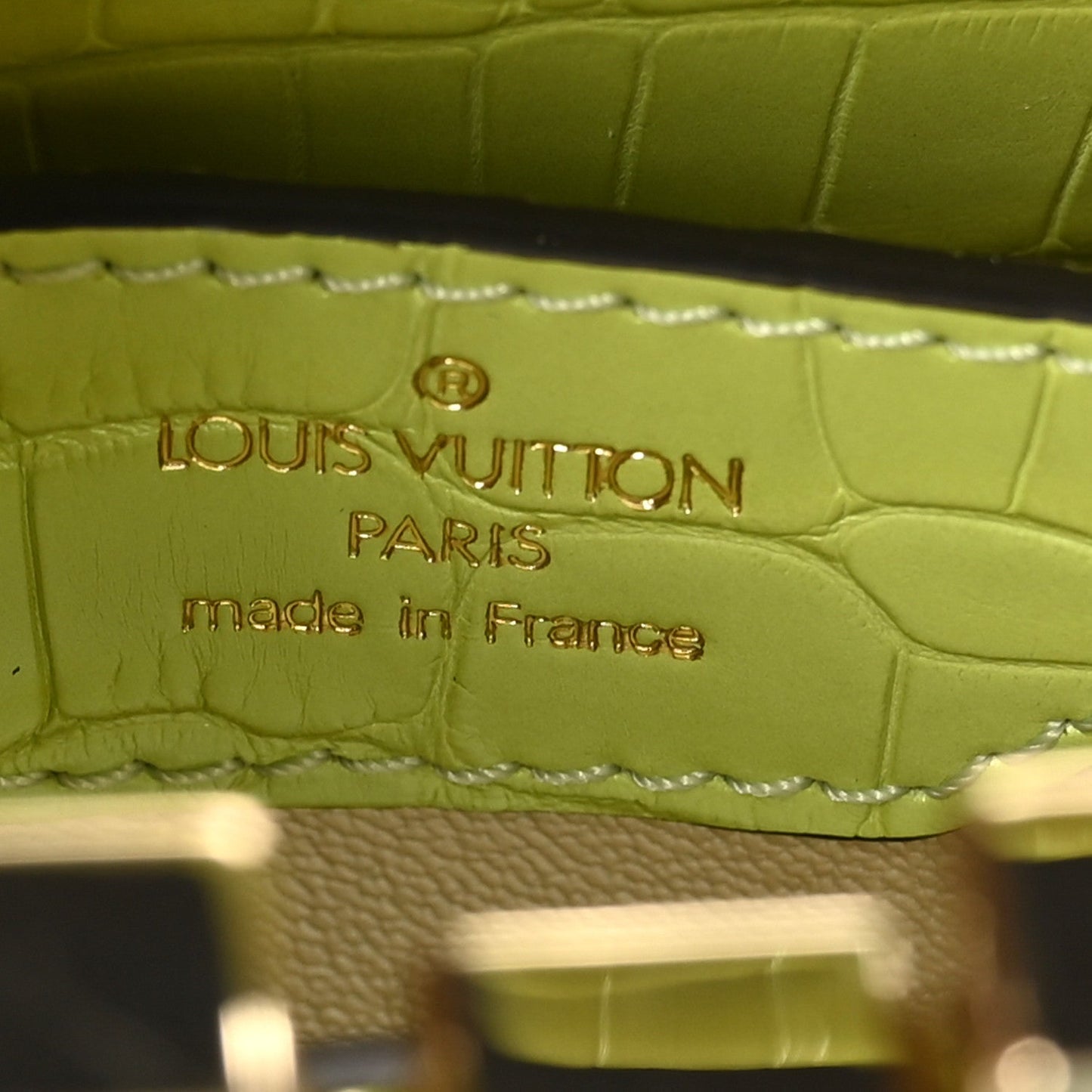 Iridescent Alligator Nano Capucines Lime