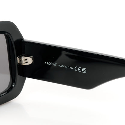 Acetate Paula's Ibiza Dive In Mask Sunglasses LW40064U Black Silver