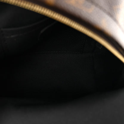 Monogram Palm Springs Backpack Mini