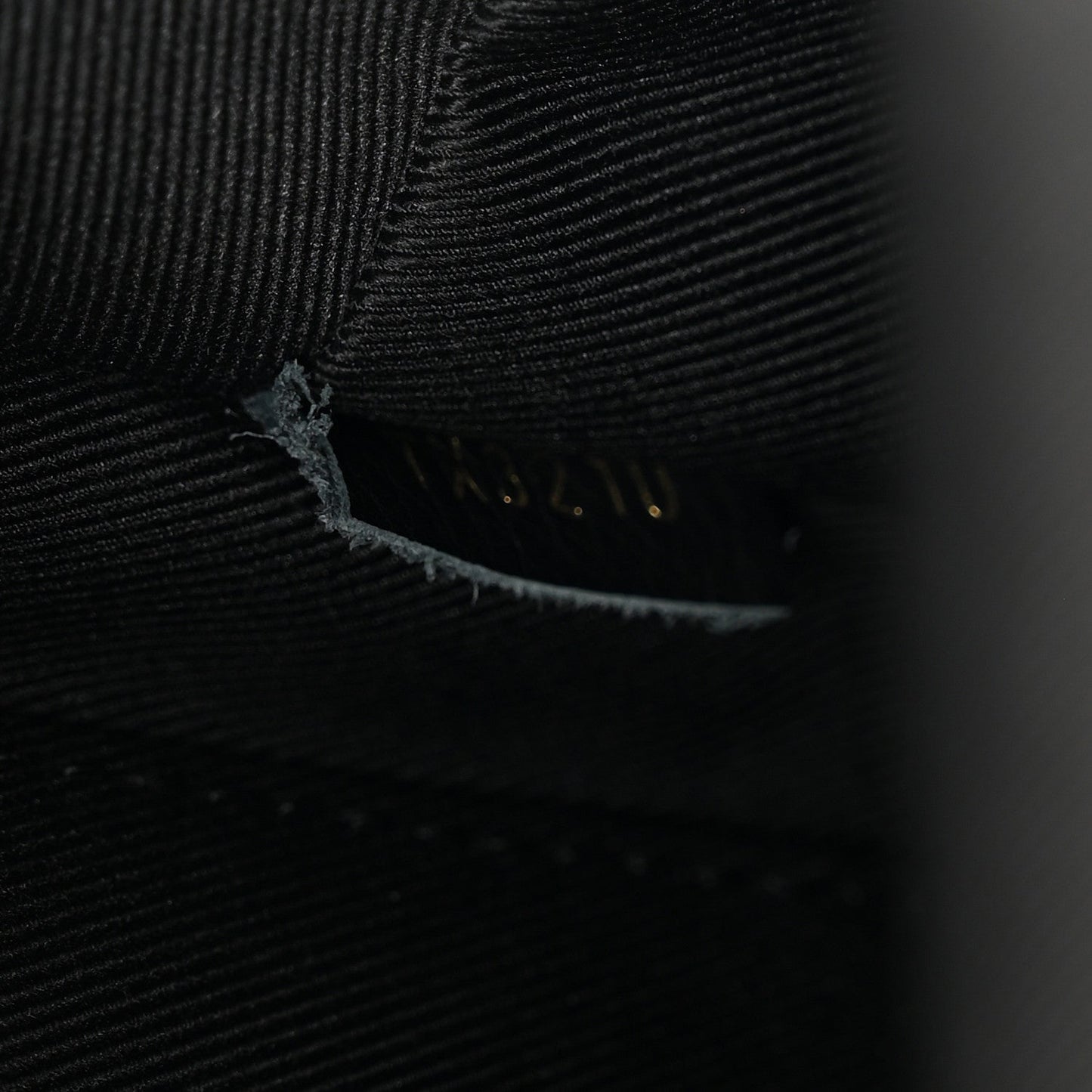 Reverse Monogram Palm Springs Backpack Mini