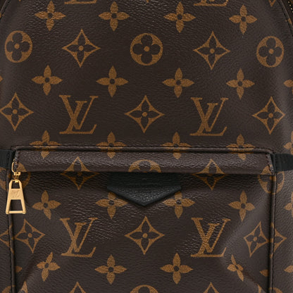 Monogram Palm Springs Backpack PM