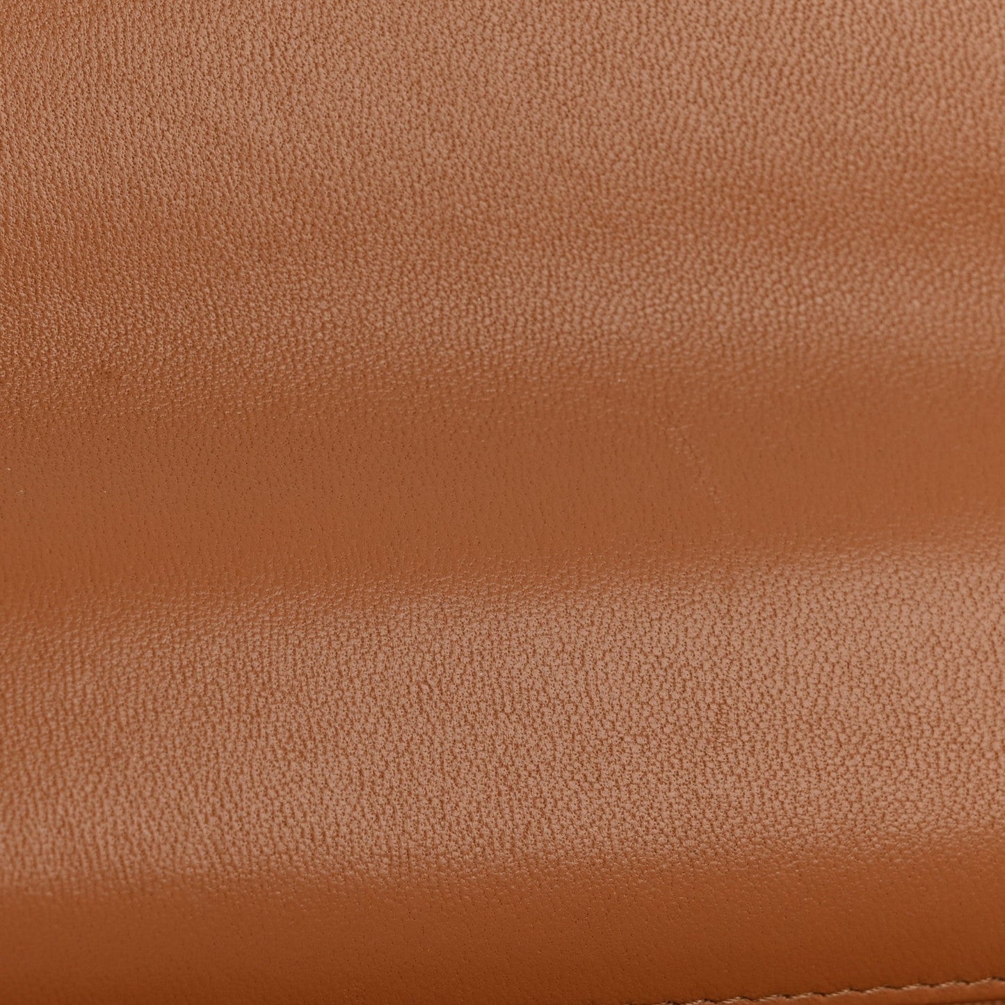 Lambskin Quilted Chanel 19 Wallet On Chain WOC Brown