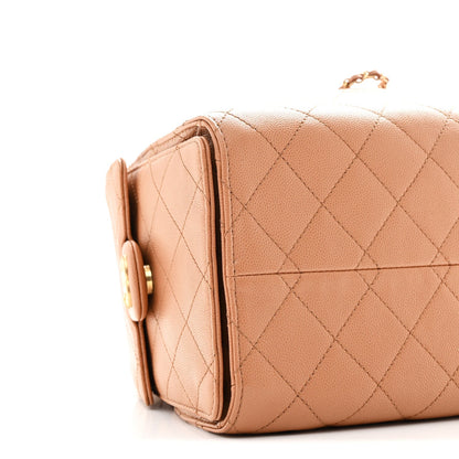 Caviar Quilted Small Chanel 25 Handbag Brown