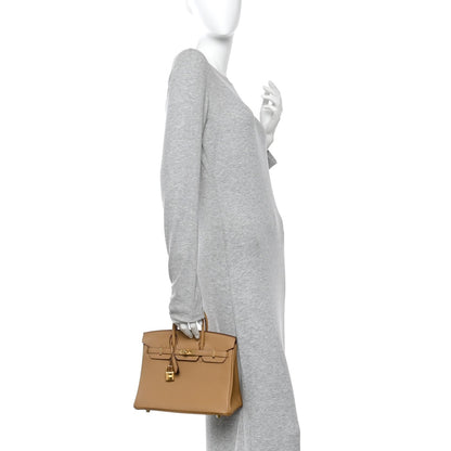 Togo Birkin 25 Biscuit