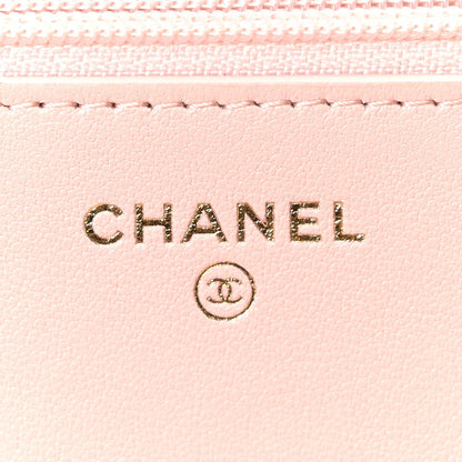 Lambskin Quilted Chanel 19 Wallet On Chain WOC Light Pink