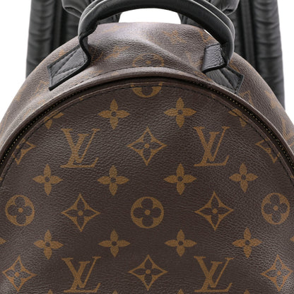 Monogram Palm Springs Backpack PM