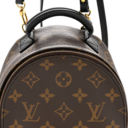 Monogram Palm Springs Backpack Mini